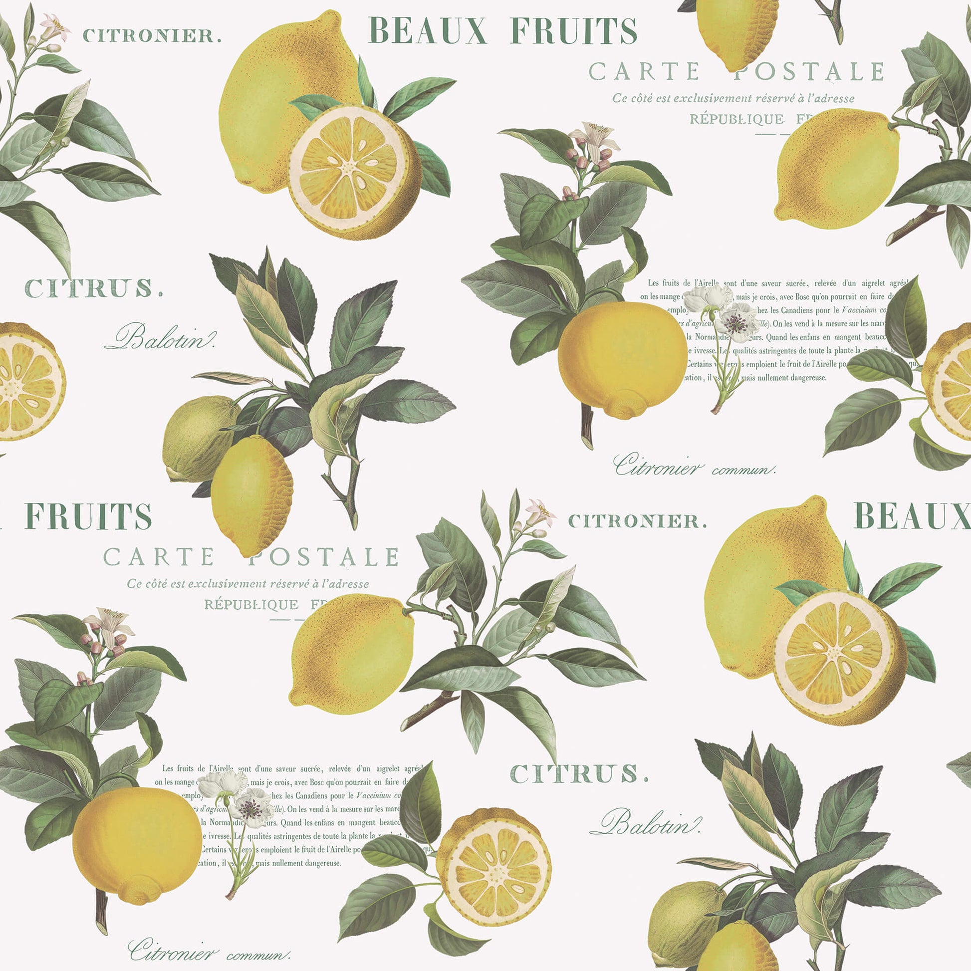 Citron Botanical Yellow/Green Wallpaper from the Just Kitchens Collection by Galerie Wallcoverings
