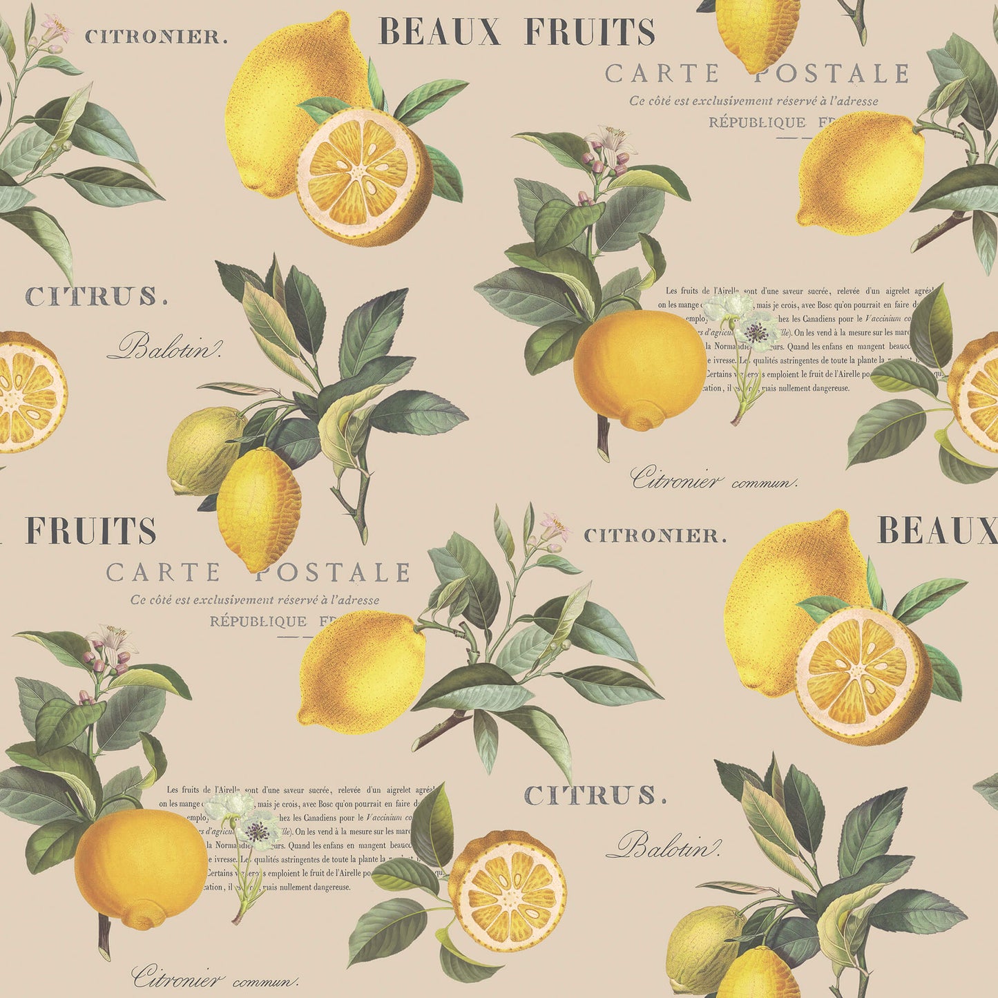 Citron Botanical Taupe Wallpaper from the Just Kitchens Collection by Galerie Wallcoverings