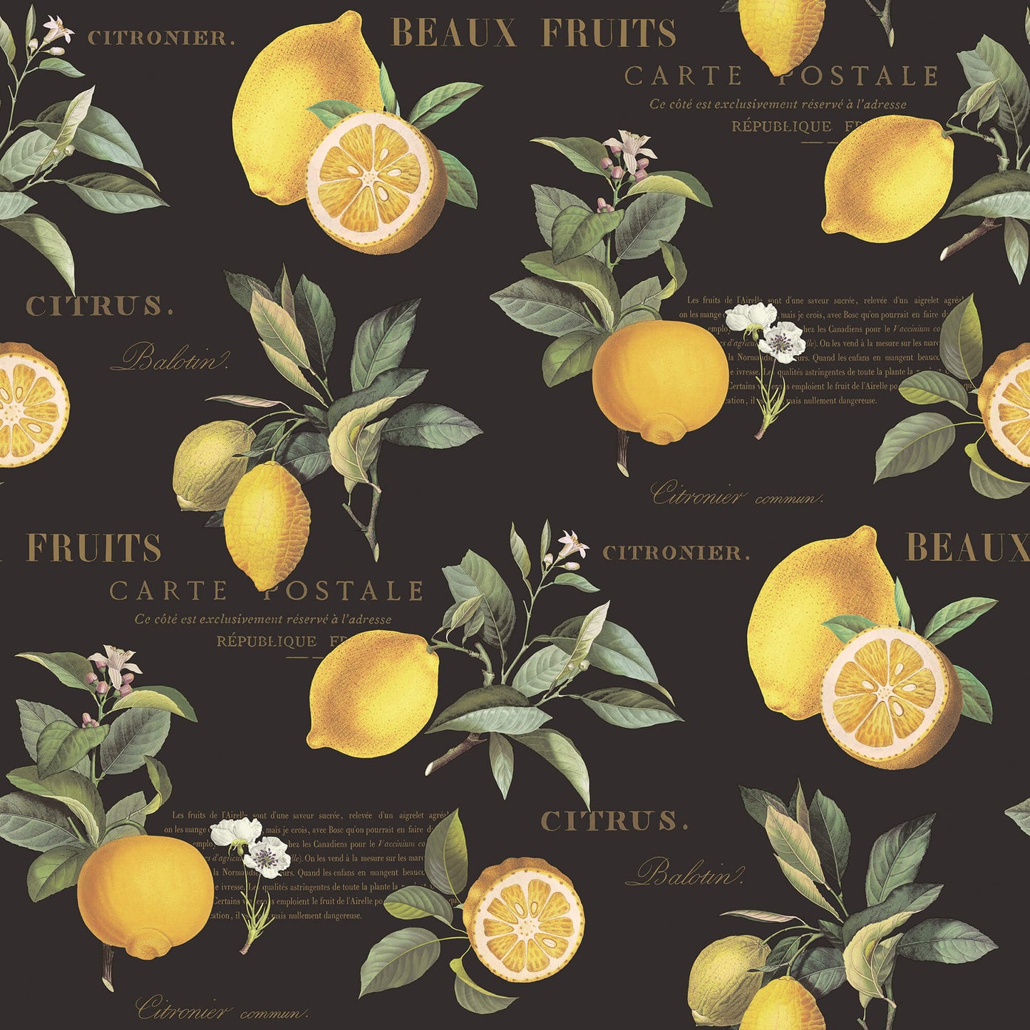 Citron Botanical Black/Yellow Wallpaper from the Just Kitchens Collection by Galerie Wallcoverings