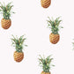 Pineapples Green/Brown Wallpaper from the Just Kitchens Collection by Galerie Wallcoverings