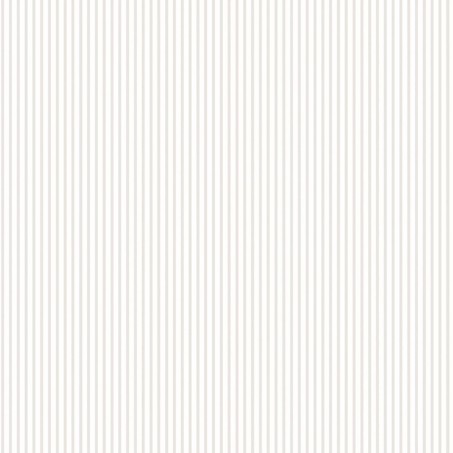 sample candy stripe grey wallpaper from the small prints collection by galerie wallcoverings 1