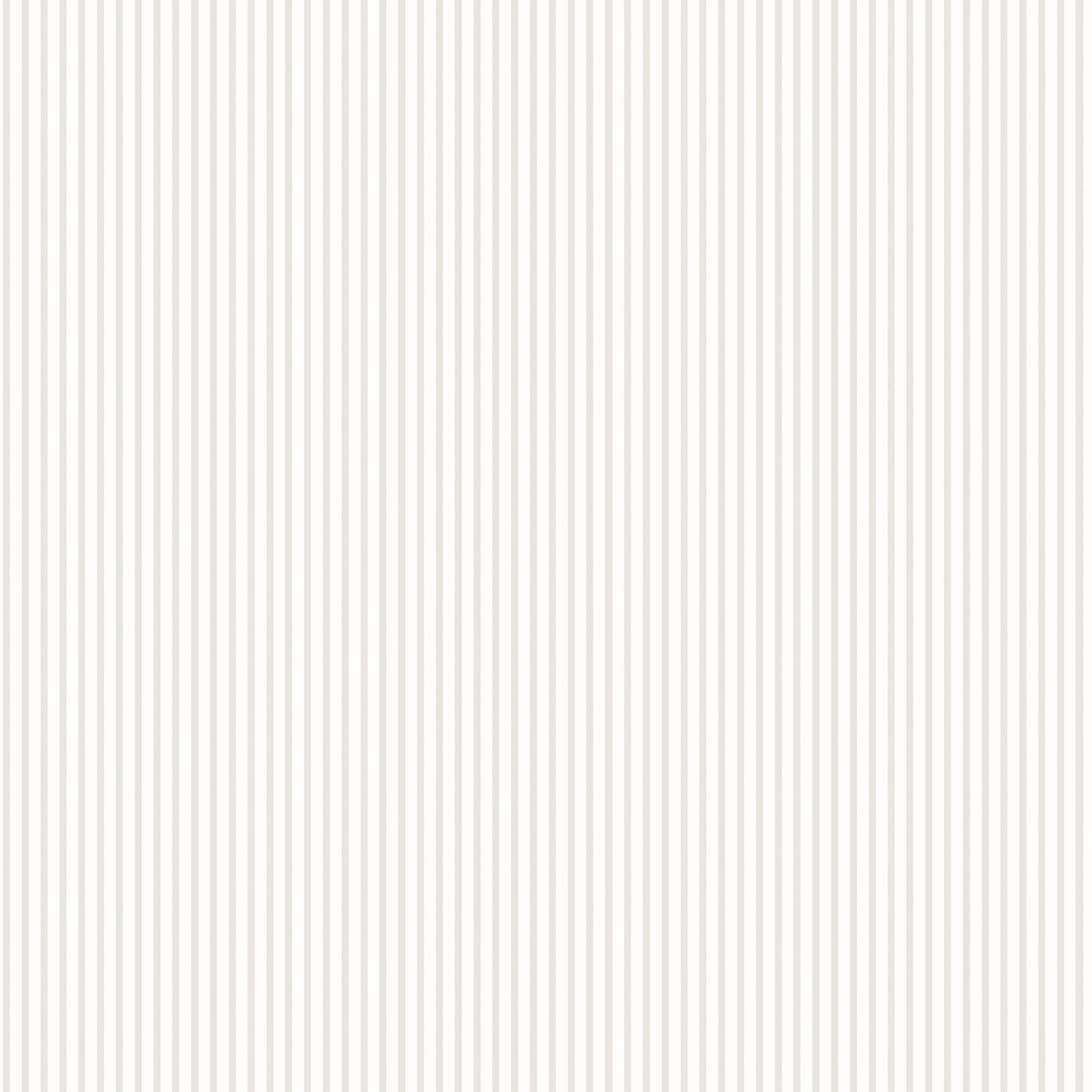 sample candy stripe grey wallpaper from the small prints collection by galerie wallcoverings 1