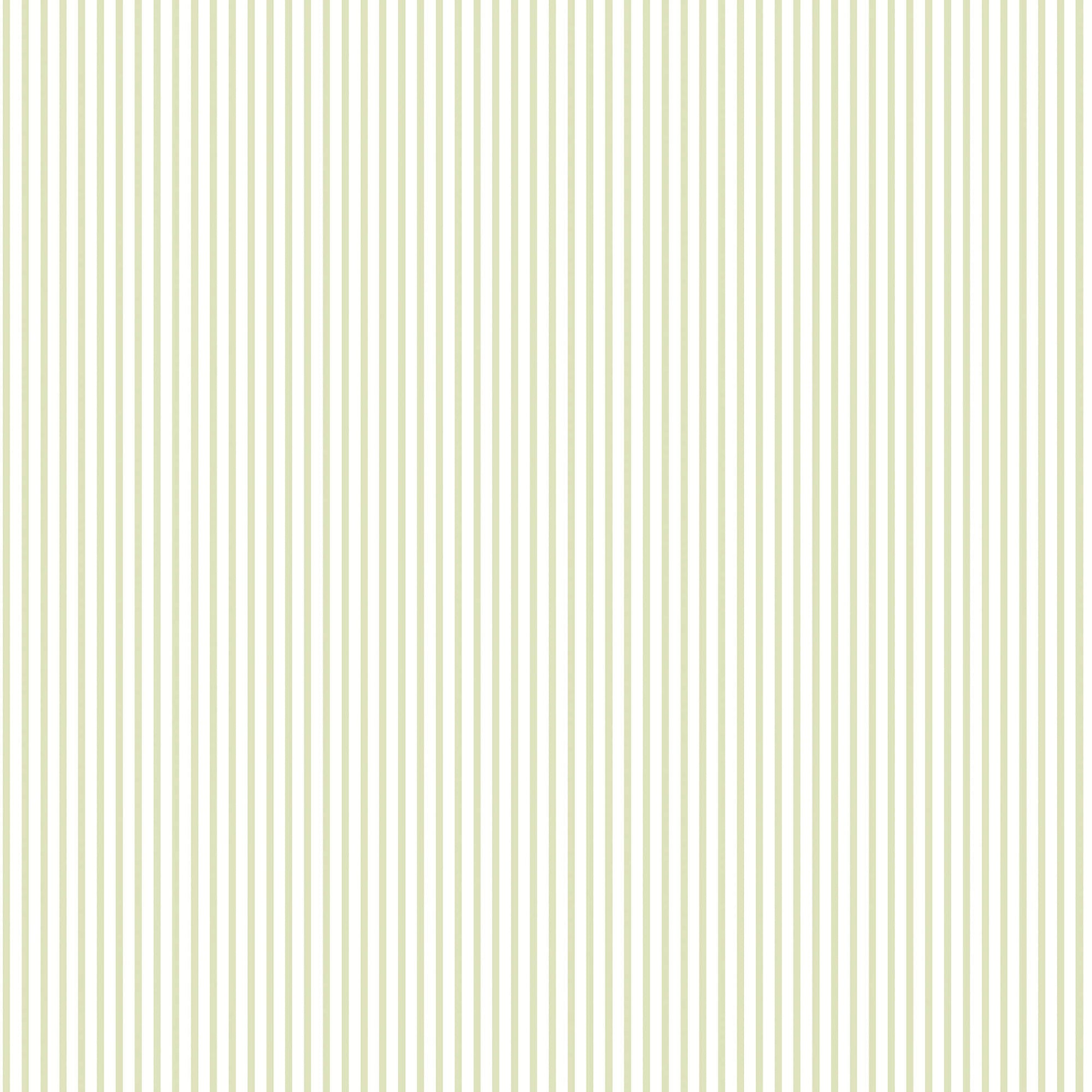 Candy Stripe Sage Wallpaper from the Small Prints Collection by Galerie Wallcoverings