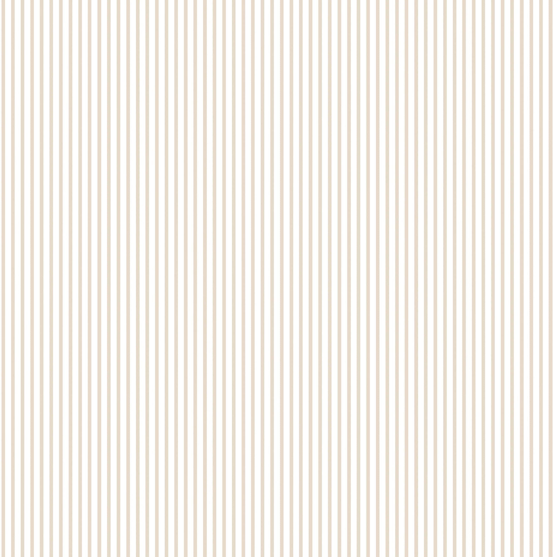 Candy Stripe Taupe Wallpaper from the Small Prints Collection by Galerie Wallcoverings