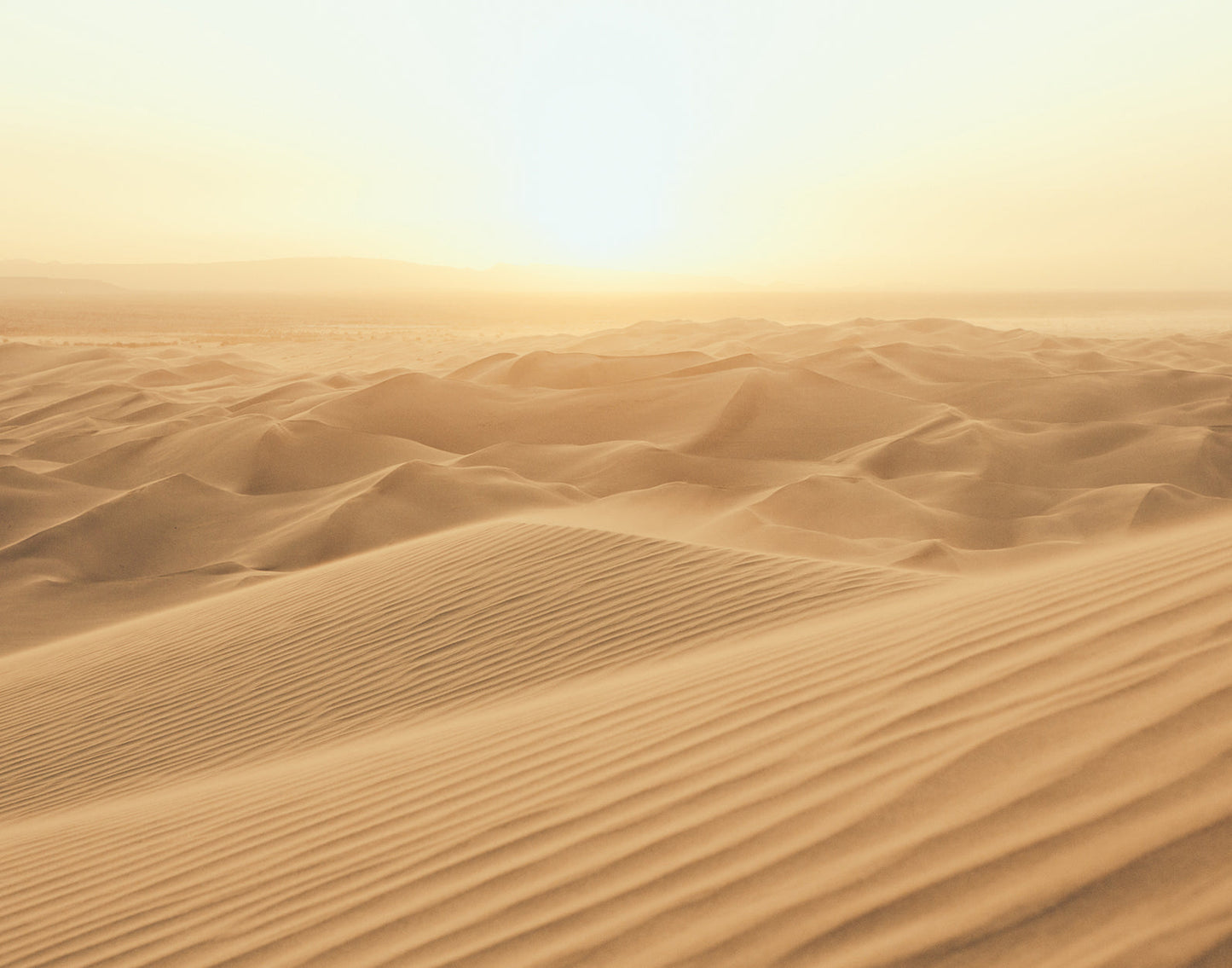Sand Dune Wall Mural from the Atmosphere Collection by Galerie Wallcoverings