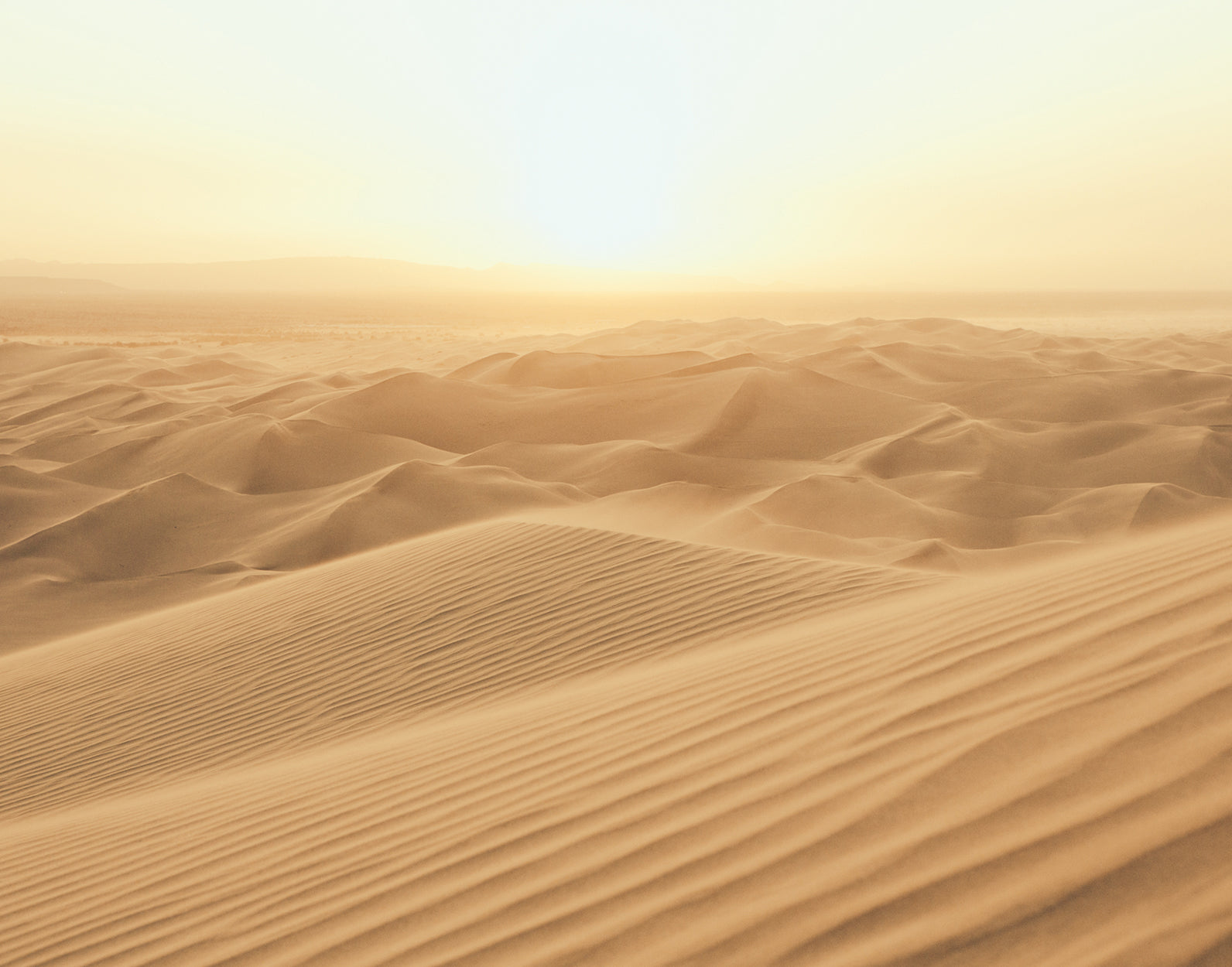 Sand Dune Wall Mural from the Atmosphere Collection by Galerie Wallcoverings