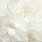 Rose White Wall Mural from the Atmosphere Collection by Galerie Wallcoverings