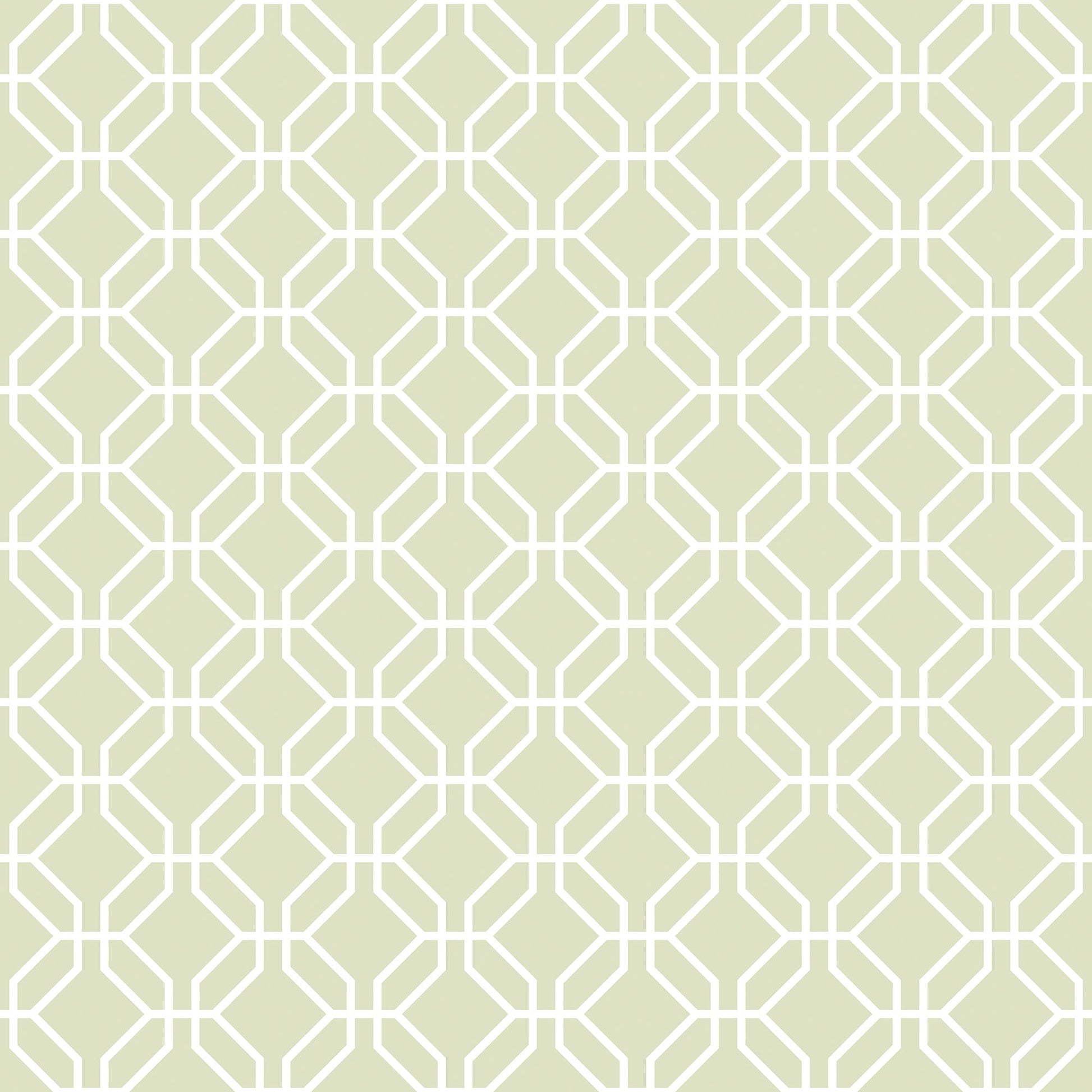 Trellis Negative Sage Green Wallpaper from the Secret Garden Collection by Galerie Wallcoverings