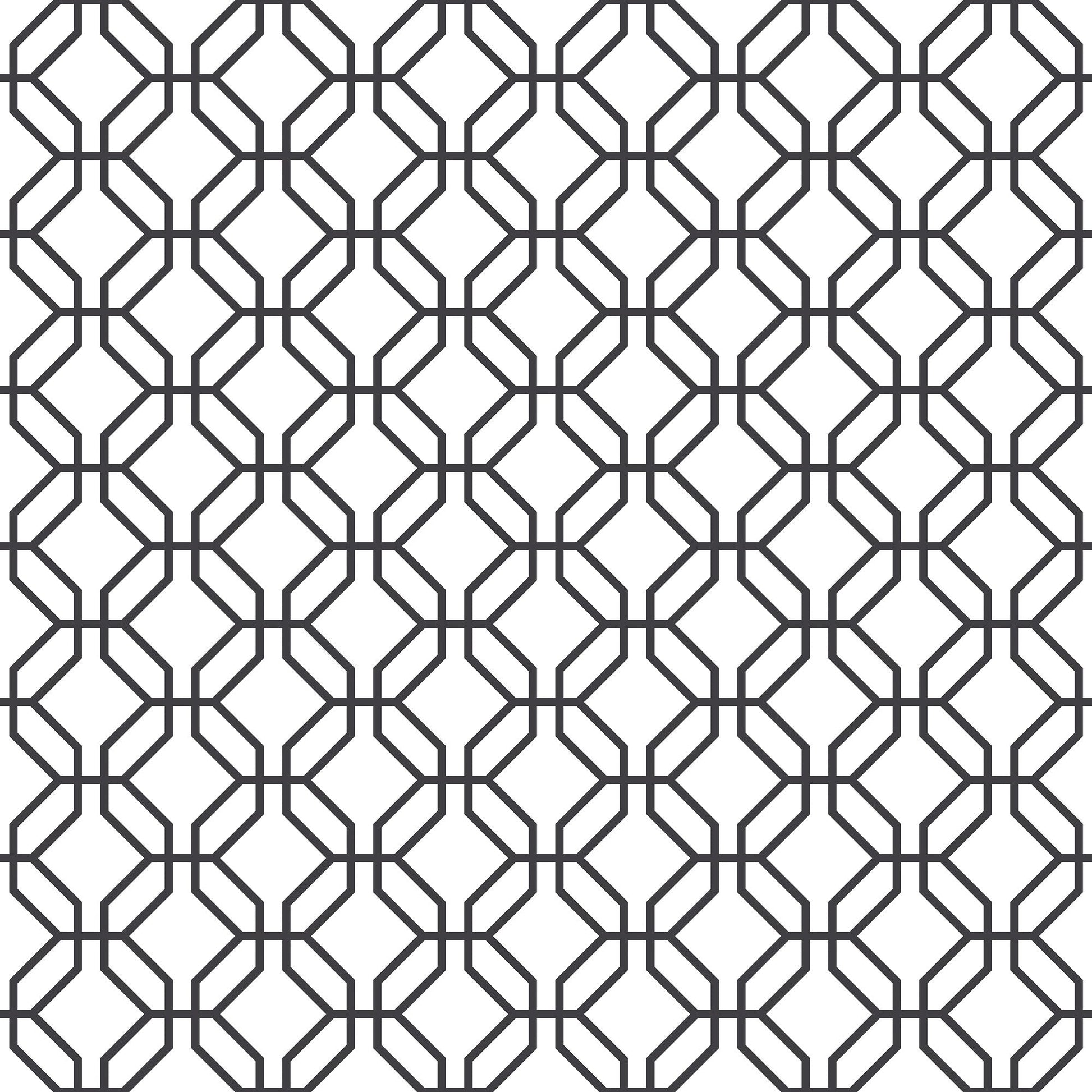 Trellis Positive Black Wallpaper from the Secret Garden Collection by Galerie Wallcoverings