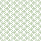 Trellis Positive Fresh Green Wallpaper from the Secret Garden Collection by Galerie Wallcoverings