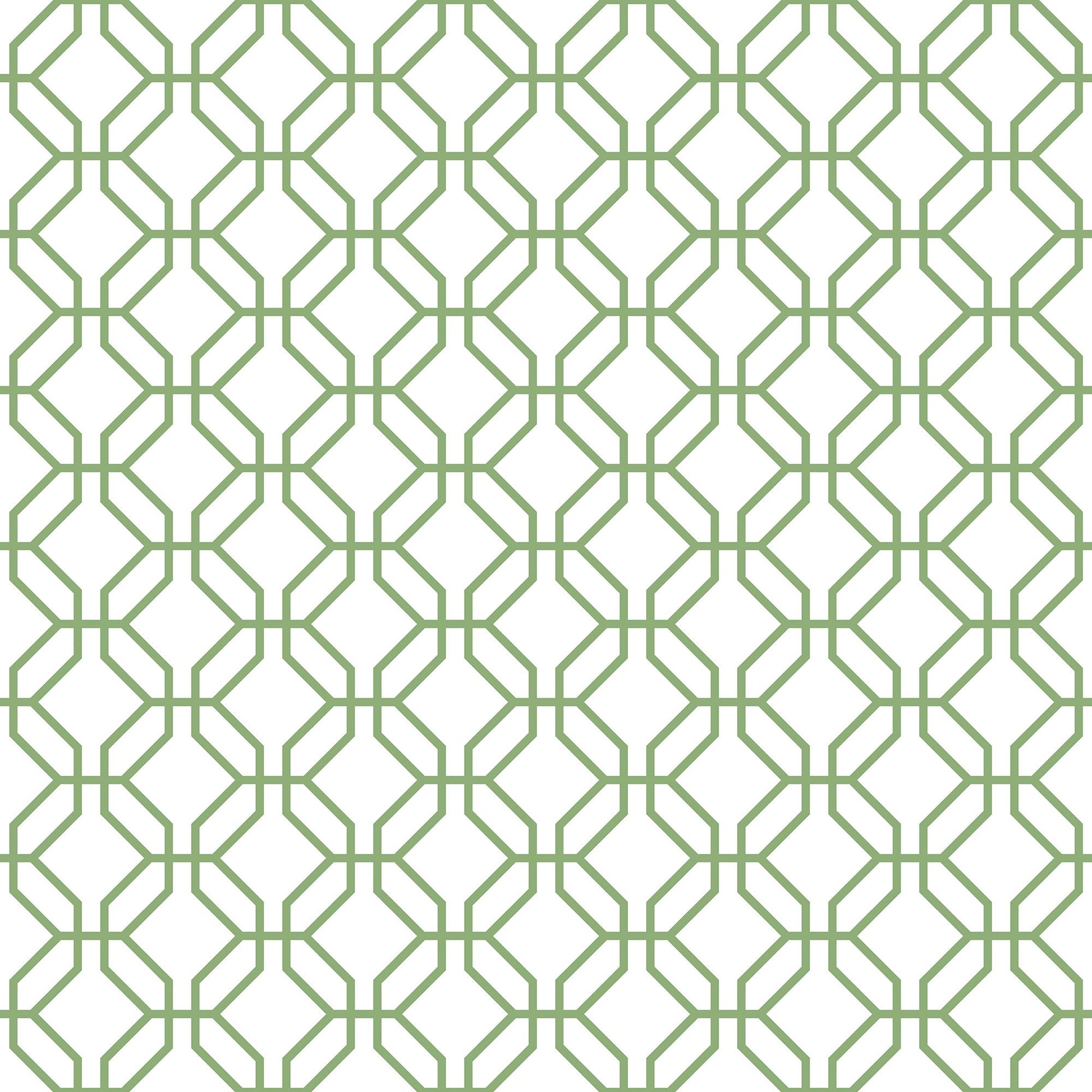 Trellis Positive Fresh Green Wallpaper from the Secret Garden Collection by Galerie Wallcoverings