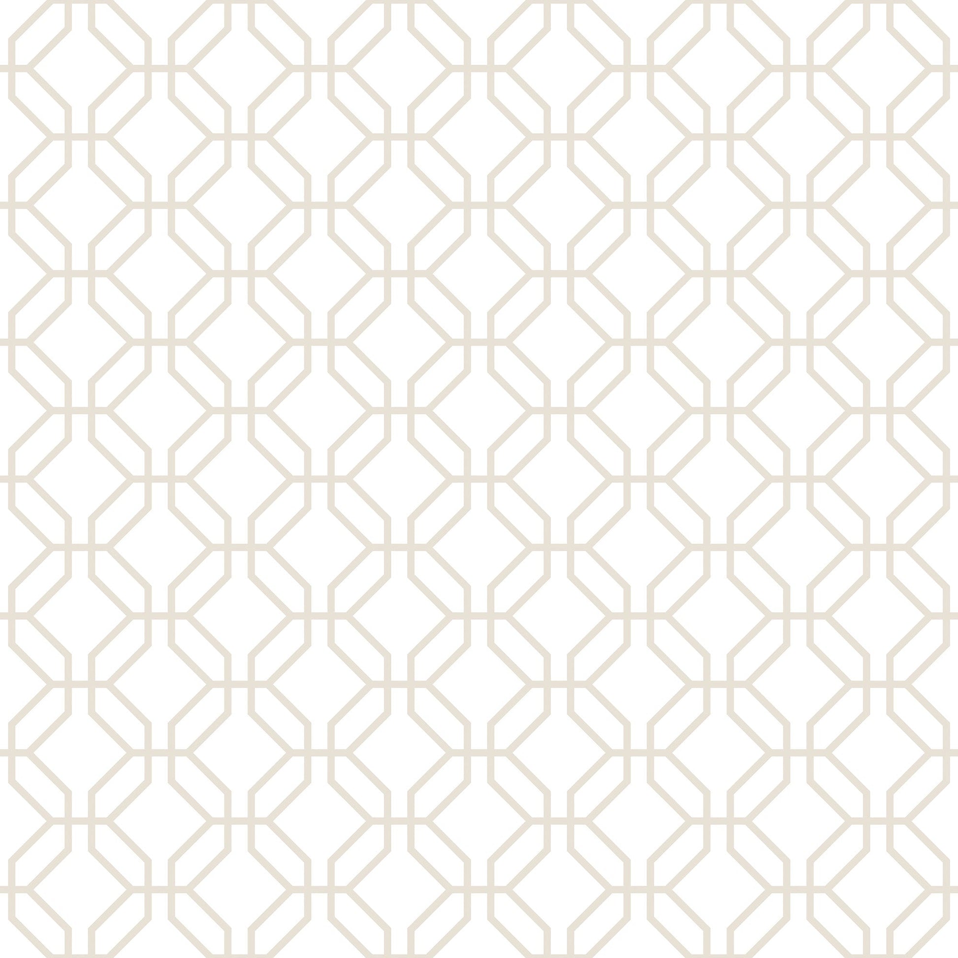 Trellis Positive Taupe Wallpaper from the Secret Garden Collection by Galerie Wallcoverings