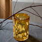 Jali Hurricane In Amber 3