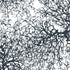 Gorgonian Vinyl Wallpaper in Charcoal design by Jill Malek
