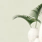Hygge Home Plain Texture In Green Galerie Wallcoverings Gg82156 2
