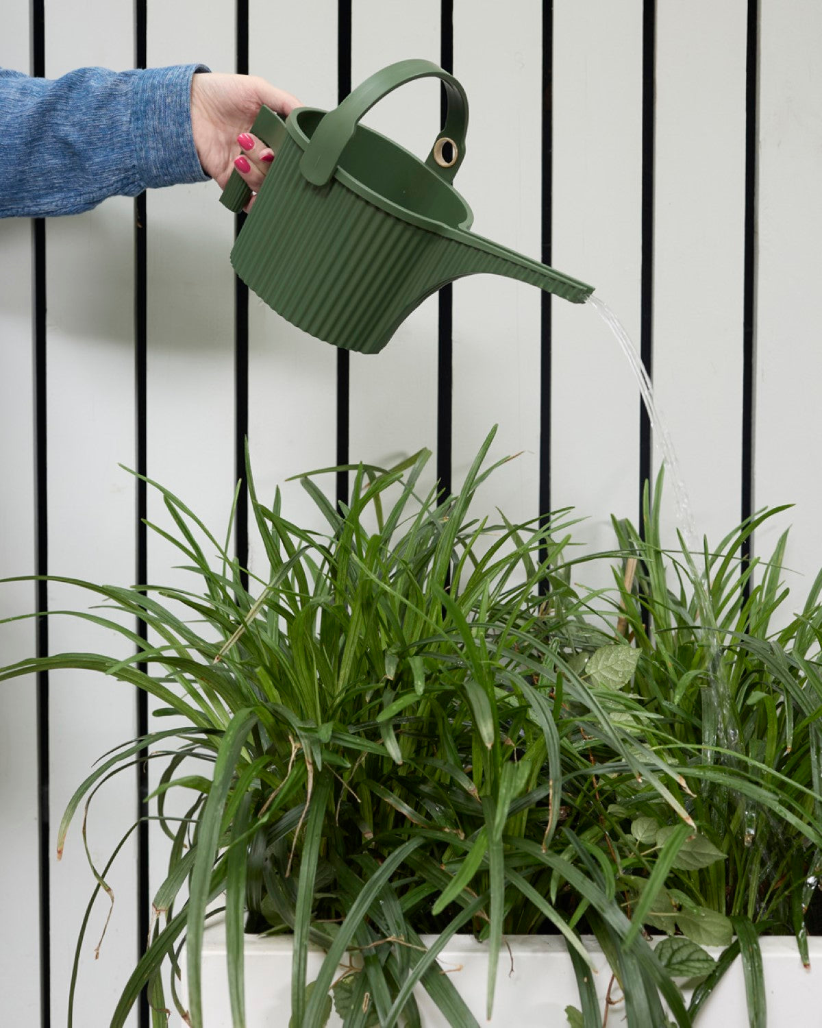 Hachiman Garden Beetle Watering Can Hachiman Chw 300381 003 15