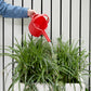 Hachiman Garden Beetle Watering Can Hachiman Chw 300381 003 16