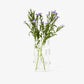 hex vase in various colors 8