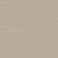 Synergy Shantung Tonale Wallpaper in Beige Pale Gold