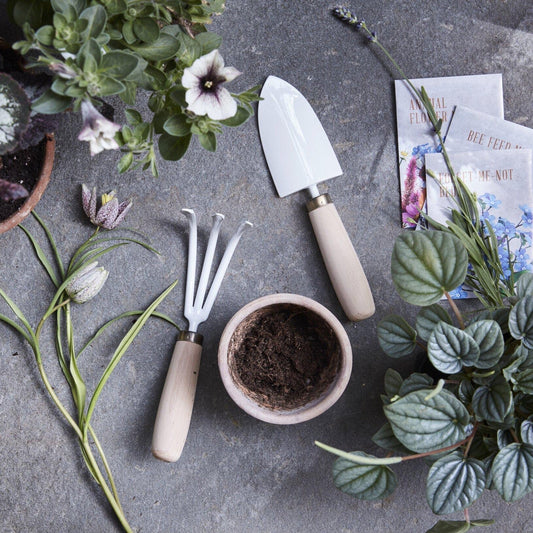 garden tool set 2