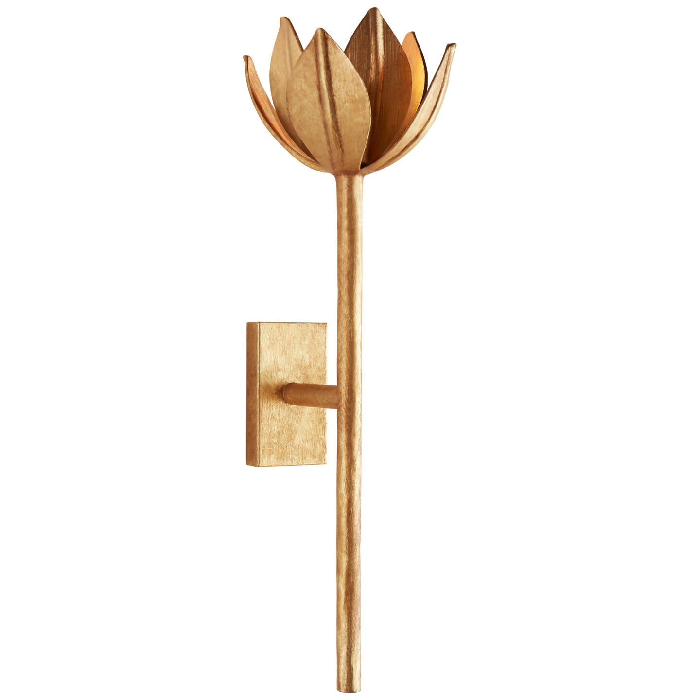 Alberto Medium Sconce by Julie Neill