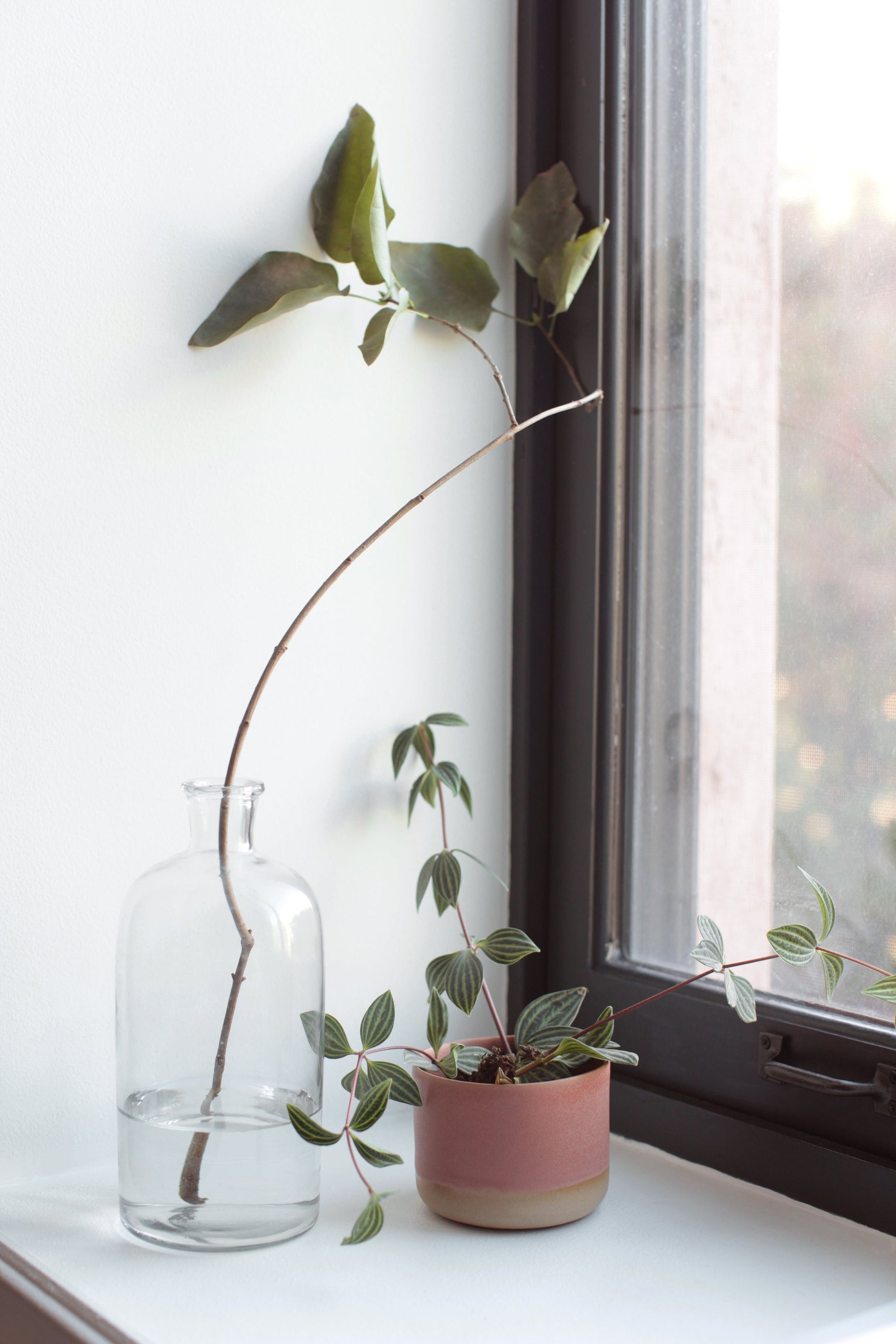 Ceramic Planter in Various Colors