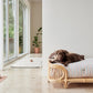 kaya dog blanket small 5