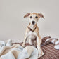 kaya dog blanket small 7
