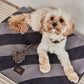 kaya dog blanket small 6