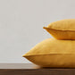 Mimoides Ochre Pillow - OpenBox 3