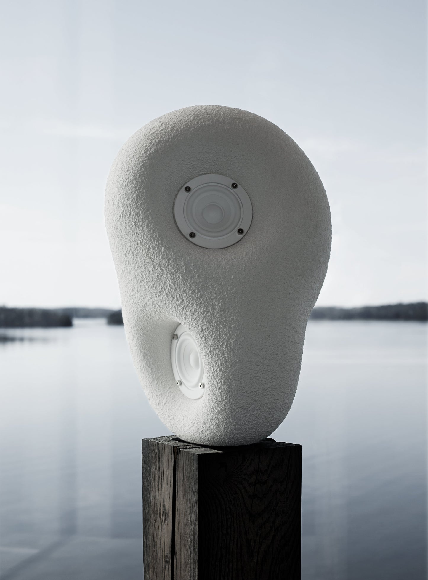 acoustic sculpture speaker by transparent 12