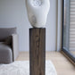 acoustic sculpture speaker by transparent 4