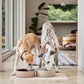 sia dog bowl large 11
