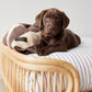 otto dog bed 7
