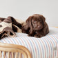 otto dog bed 10
