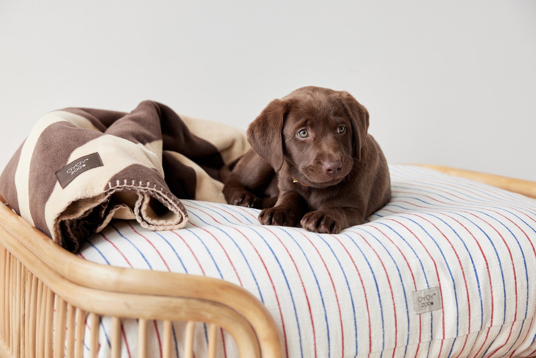 otto dog bed 10