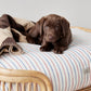 otto dog bed 9