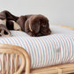 otto dog bed 8