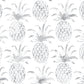 Pina Pintada Wallpaper in Gull design by Aimee Wilder