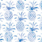 Pina Pintada Wallpaper in Macaw design by Aimee Wilder