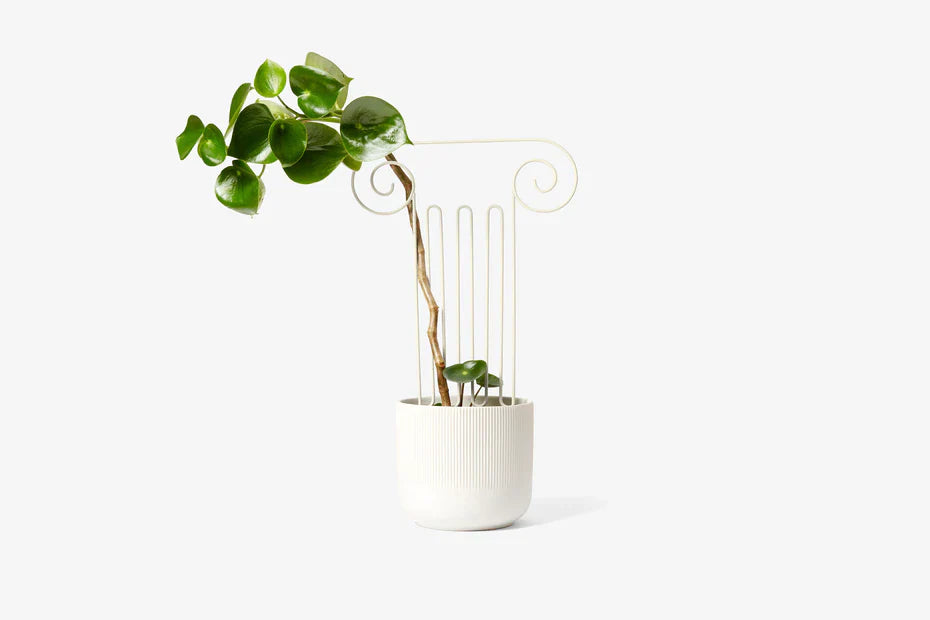 plant trellis 9