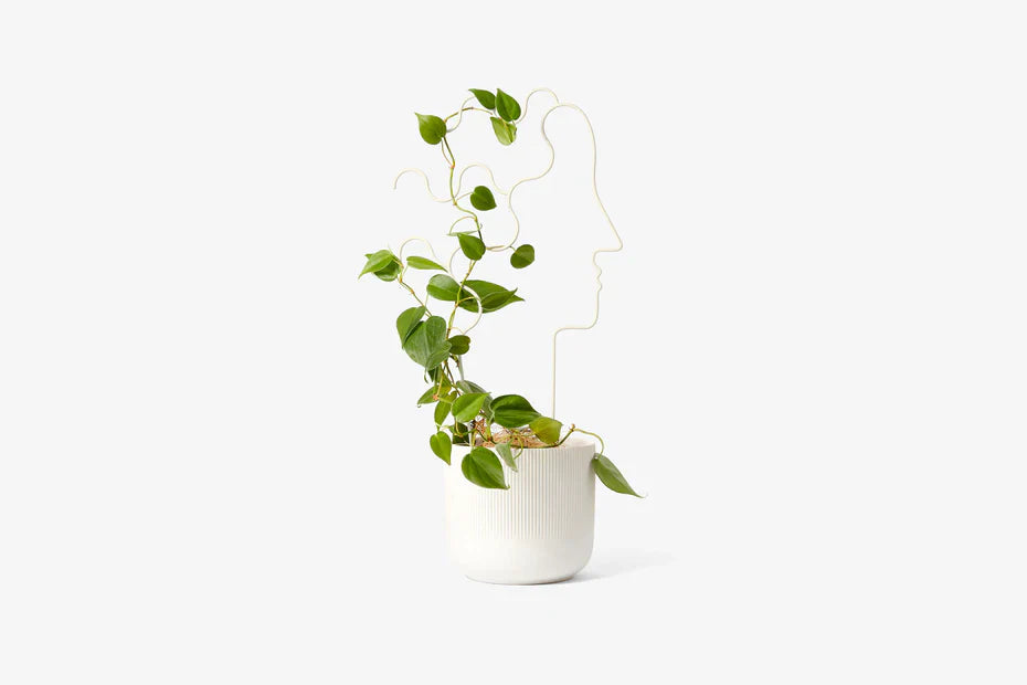 plant trellis 8