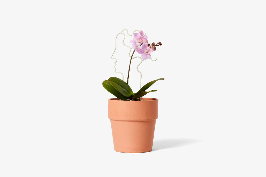 plant trellis 11