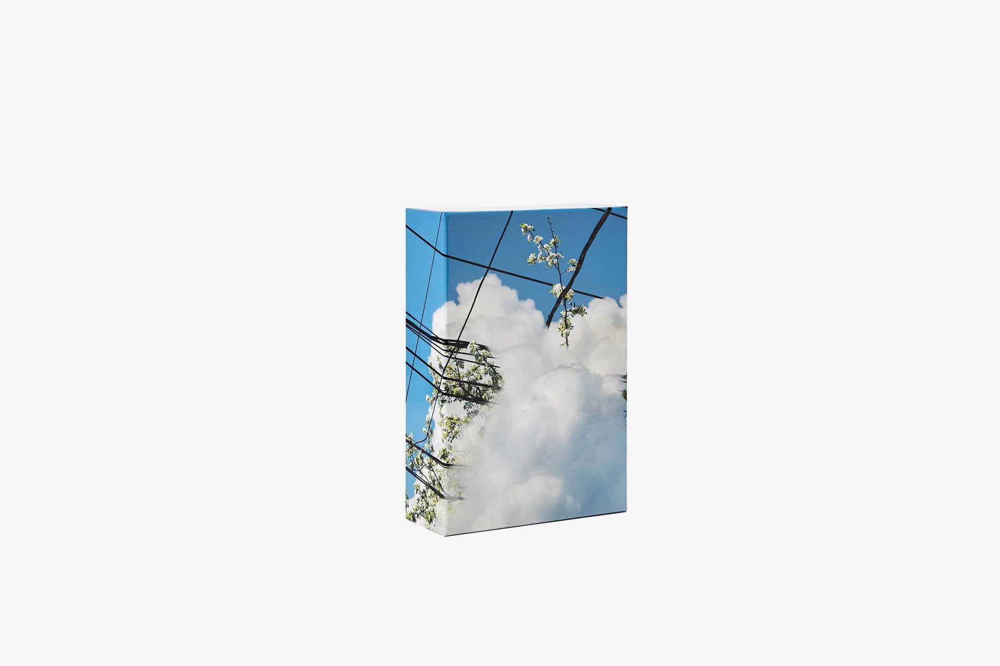 Puzzle in Puzzle