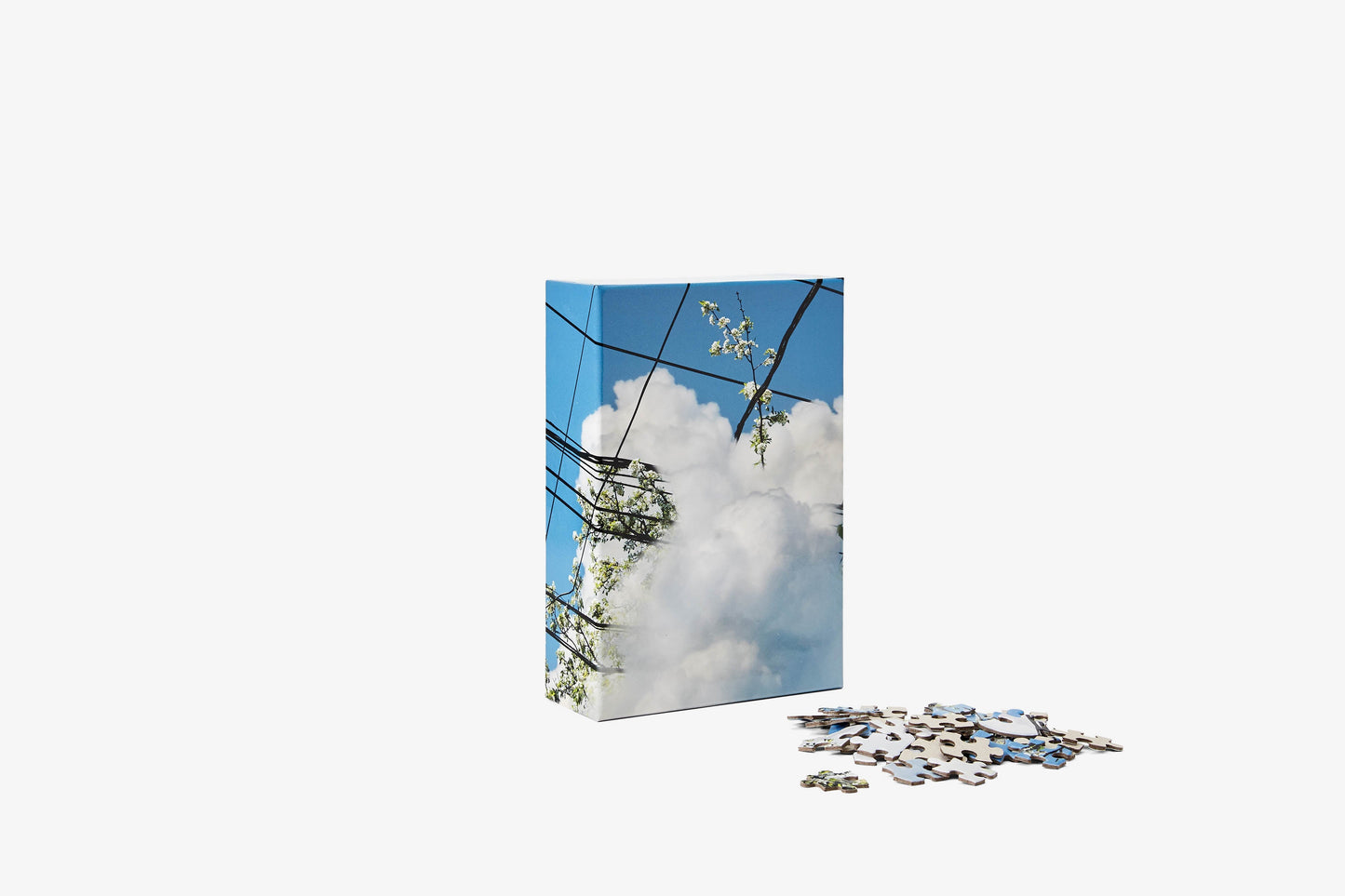 Puzzle in Puzzle