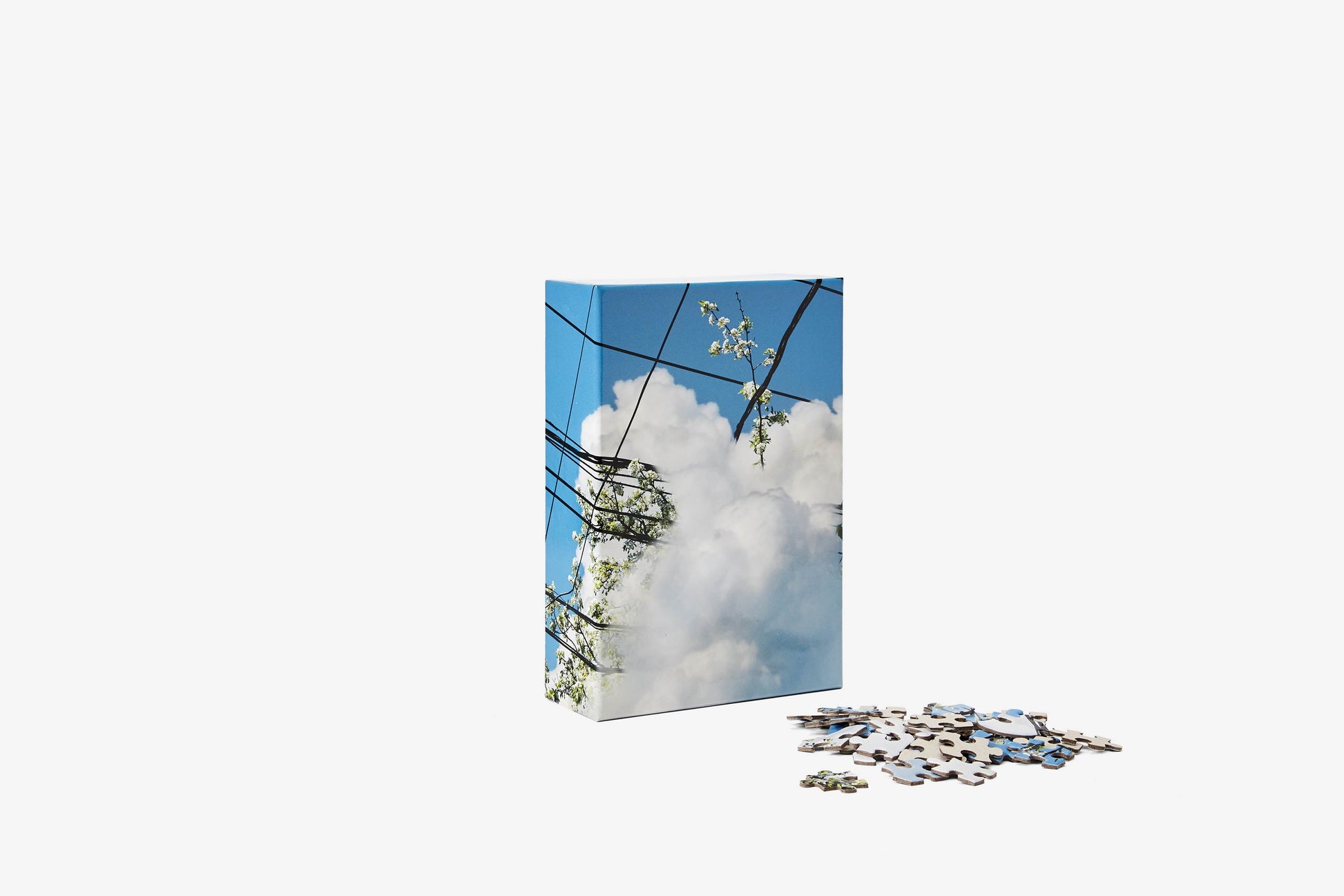 Puzzle in Puzzle