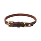 robin dog collar choko 3