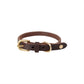 robin dog collar choko 2