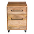 Colvin Mobile Pedestal 1