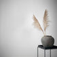 Sand Grain Concrete 32501 Wallpaper by BD Wall